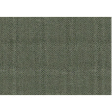 19006 140 Source Squamarina